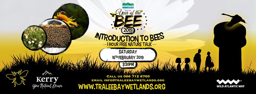 Introduction to Bees - Year of the Bee 2019