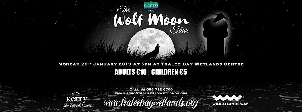 The Wolf Moon Tour at Tralee Bay Wetlands Centre