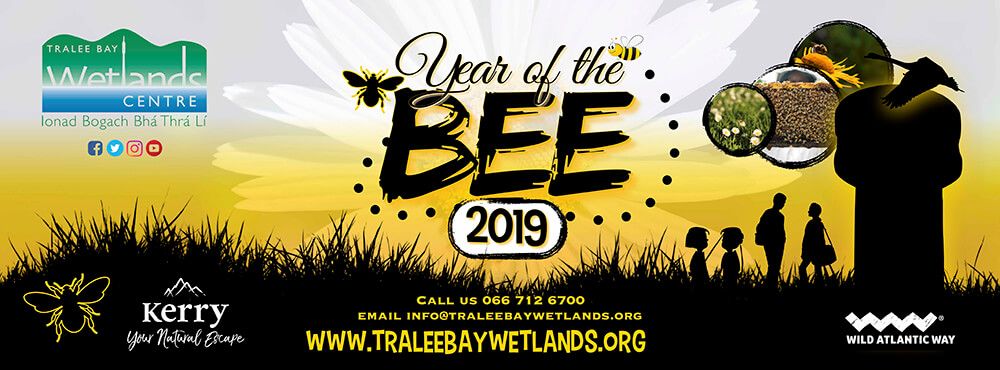 2019 Year of The Bee!