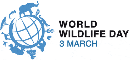 World Wildlife Day at Tralee Bay Wetlands