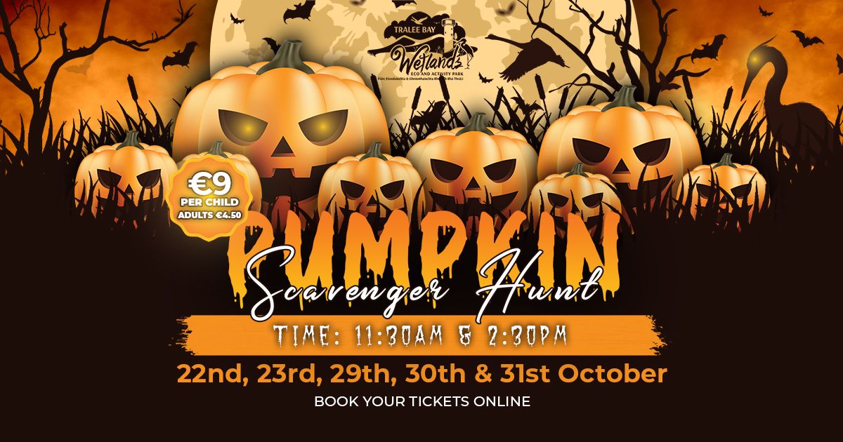 Pumpkin Scavenger Hunt this Halloween Mid Term at Tralee Bay Wetlands Eco & Activity Park