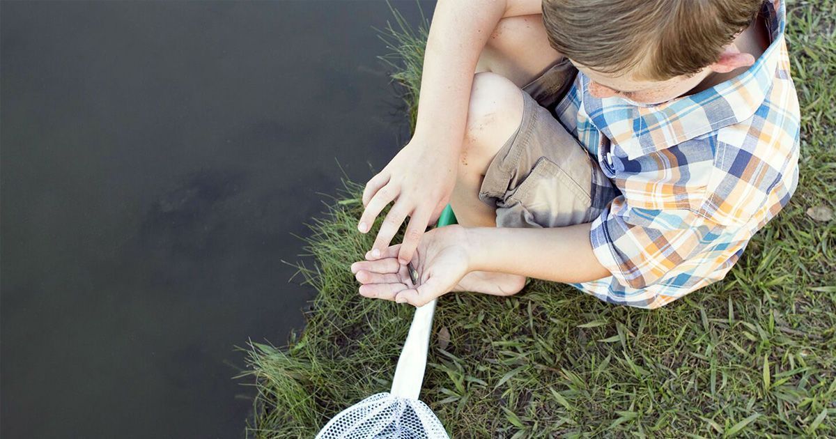 Pond Dipping is back for 2022 at Tralee Bay Wetlands Eco & Activity Park