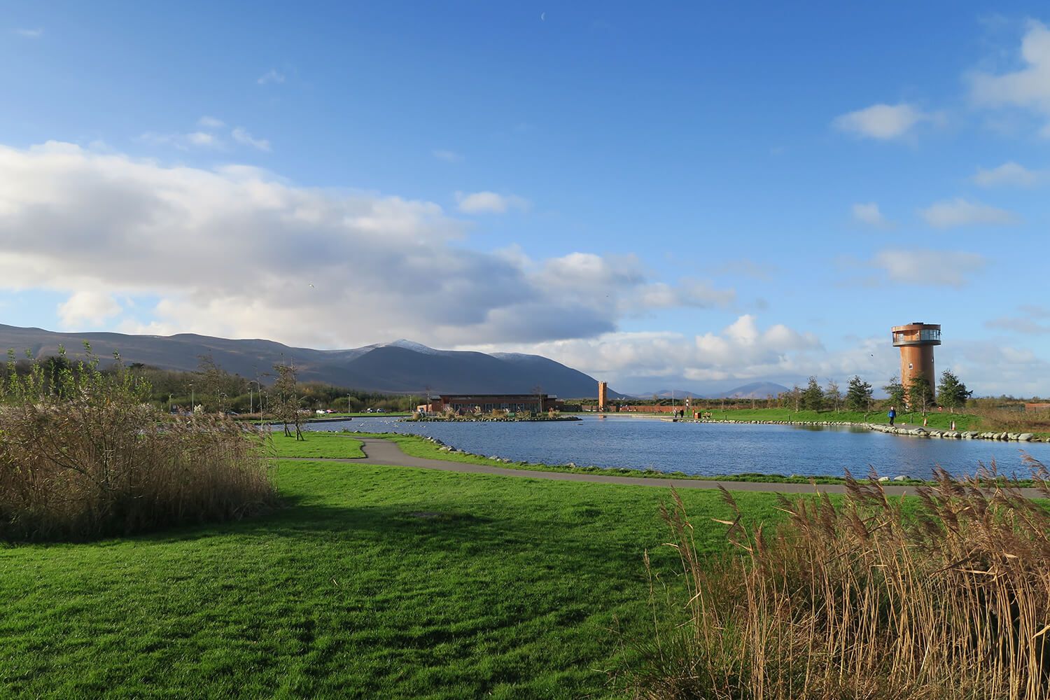 Activity Lake Walk at Tralee Bay Wetlands