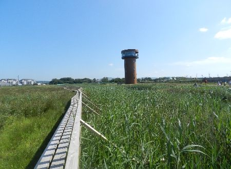 Discover our Wild Wetlands and explore the different scenic spots in the Wetlands