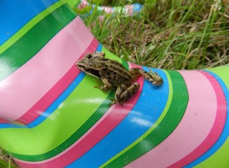 Let us take the hard work out of planning your next school trip!!!