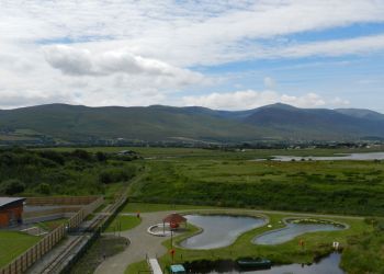 The View from the tower -3, Tralee Bay Wetlands