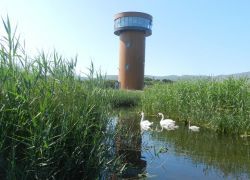 The Viewing Tower -5, Tralee Bay Wetlands