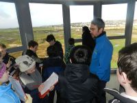 The Viewing Tower -7, Tralee Bay Wetlands