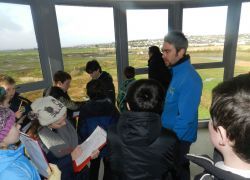 The Viewing Tower -7, Tralee Bay Wetlands