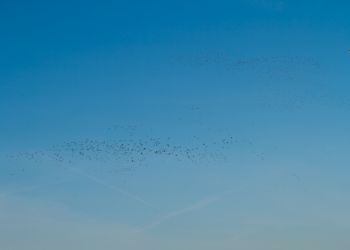 20120202 IMG 8928