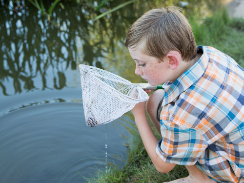 Pond Dipping at Tralee Bay Wetlands Ecology Park