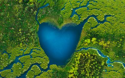 Water Conservation and Wetlands