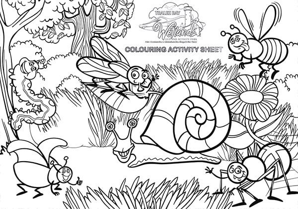 Invertebrate Colouring Sheet  