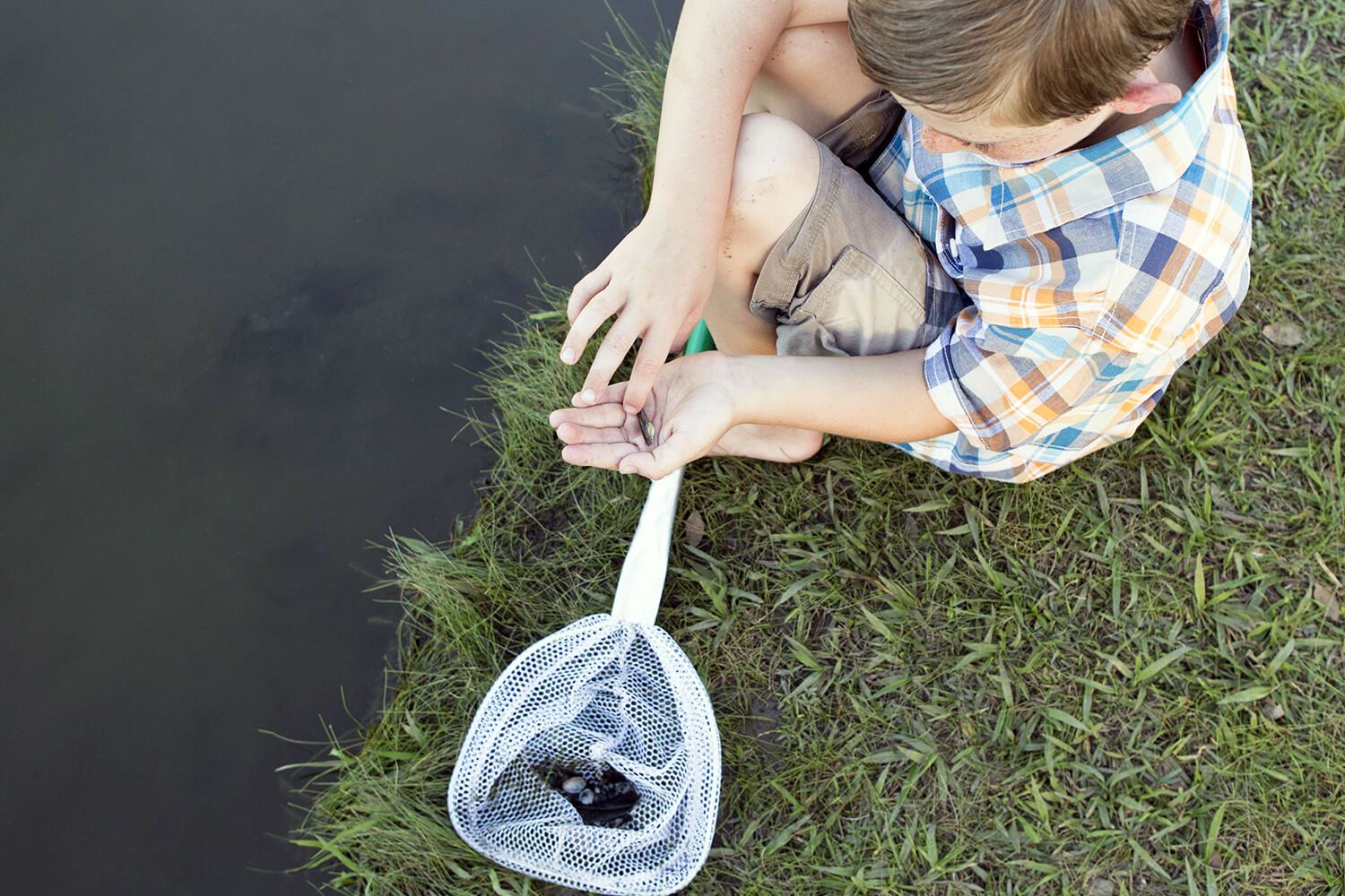 Pond Dipping Tour at Tralee Bay Wetlands