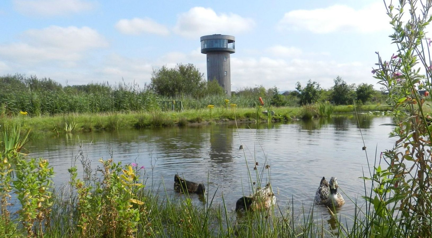 Tours at Tralee Bay Wetlands